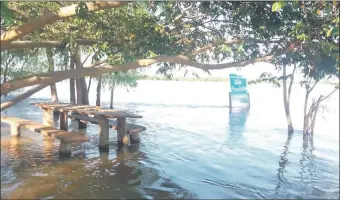  ??  ?? La misma isla, hoy cubierta por las aguas tras la extraordin­aria crecida del Paraná, que comenzó a acentuarse desde el lunes pasado, según pobladores de la zona.