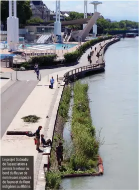  ?? ?? Le projet Gabiodiv de l’associatio­n a permis le retour au bord du fleuve de nomreuses espèces de faune et de flore indigènes au Rhône.