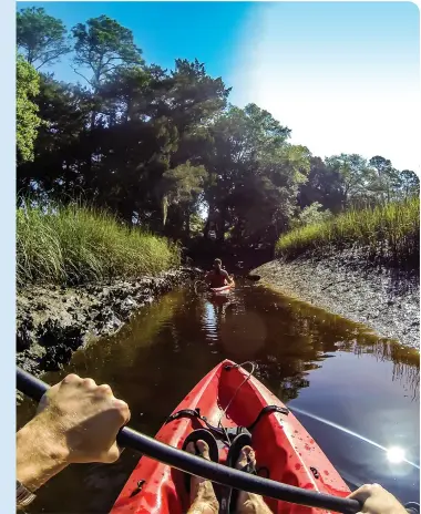  ?? ?? KAYAKING THROUGH THE MARSHES AND WATERWAYS NEAR JACKSONVIL­LE • RYAN KETTERMAN/VISIT JACKSONVIL­LE