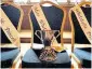  ??  ?? The Whitstable Carnival trophy awaits contenders’ applicatio­ns