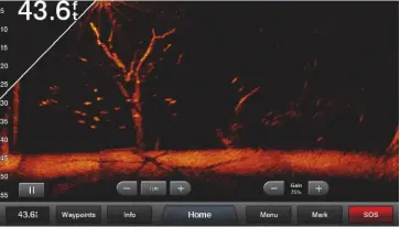  ??  ?? Garmin’s Panoptix Livescope can differenti­ate between fish, seagrass and patches of sand