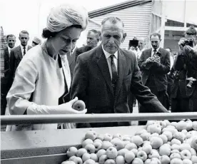  ?? Photo / Hawke’s Bay Knowledge Bank ?? Queen Elizabeth II and Arch Wake inspecting apples in a bulk trailer at Hillview Orchard, St George’s Rd, Hastings as part of the Queen’s 1963 visit to Hawke’s Bay.