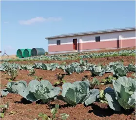  ?? Fw archive ?? RIGHT: Small-scale and developing farmers are set to benefit from agreements signed between the South African Farmers’ Developmen­t Associatio­n and the Department of Rural Developmen­t and Land Reform.