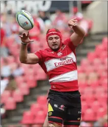  ?? BACKPAGEPI­X ?? RASSIE PICKS? Faf de Klerk could crack the nod to start at No 9, while Cyle Brink could be a bolter among the loose forwards in the squad named tonight.