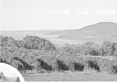  ?? FINGER LAKES VISITORS CONNECTION ?? The heart of the wine trail is vineyard- lined Canandaigu­a Lake, whose waters are the perfect backdrop for a picnic along County Road 12.