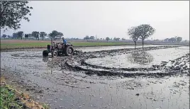  ??  ?? ■ While the government has set June 20 as deadline for paddy sowing, some farmers have already started transplant­ing the crop in the state. HT PHOTO