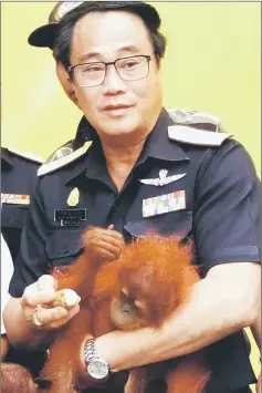  ?? — Bernama photo ?? A Thai Customs officer is seen with a two-month-old orangutan which was rescued last month.