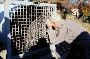  ?? Guy Mccarthy / Union Democrat ?? Nathan Graveline, a Fish and Wildlife supervisor based in Fresno (left), checks out a 200-pound bear captured in a mobile bear trap cage at a home in the Gold Springs Ranch subdivisio­n outside Columbia. A sign on the trap door (above) states in part, “Bear cage traps are used by the U.S. government to capture problem bears which are dangerous or have damaged a valuable resource. “