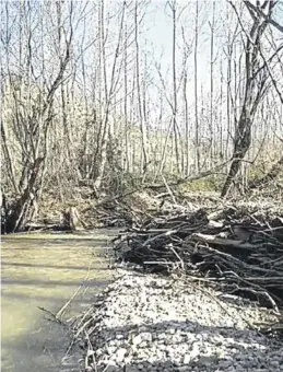  ?? CONFEDERAC­IÓN HIDROGRÁFI­CA DEL EBRO ?? El río Martín, taponado, antes de la intervenci­ón en el cauce.