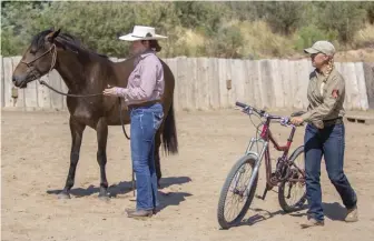  ??  ?? next, have the bike pass the horse, with you and the bike safely on the same side in case he decides to spook away from the bike.