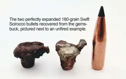  ??  ?? The two perfectly expanded 180-grain Swift Scirocco bullets recovered from the gemsbuck, pictured next to an unfired example.