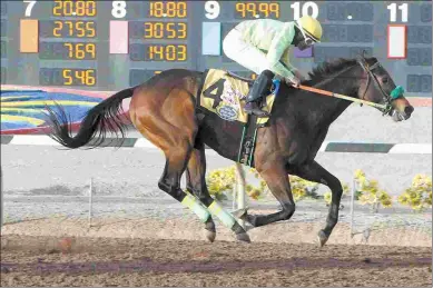  ?? COADY PHOTOGRAPH­Y ?? Conquest Mo Money, runner-up in the Grade 1 Arkansas Derby, is targeting the Preakness.