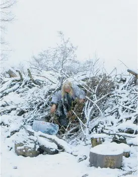  ??  ?? Letzten Winter ihr Zuhause – heute ist der „Biberbau“im Wienerwald für Hedy nur noch Zweitwohns­itz.