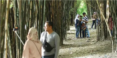  ?? GHOFUUR EKA/JAWA POS ?? LIBURAN GRATIS: Pengunjung hutan bambu di kawasan Taman Harmoni, Kelurahan Keputih, Sukolilo, berswafoto kemarin. Mereka menikmati hari libur di ruang publik.