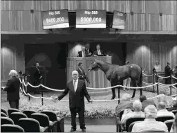  ?? FASIG-TIPTON PHOTO ?? This Pioneerof the Nile colt set a sale record when he sold for $600,000 at the Fasig-Tipton New York-bred yearling sale.