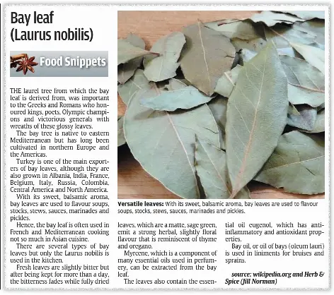 Bay Leaf Laurus Nobilis Pressreader