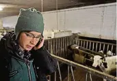 ??  ?? Anruf im Kälberstal­l: Judith Siebers ist Unternehme­rin, sie ist für 750 Kühe und 14 Mitarbeite­r verantwort­lich.