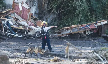  ?? (Brian van der Brug/Los Angeles Times/TNS) ?? ORANGE COUNTY FIRE dog handler Sonja Heritage directs Asta, a live find German Shepherd, as search teams look for missing persons in the rubble of a home in the aftermath of mudslides in the 300 block of Hot Springs Rd. in Montecito, California last...