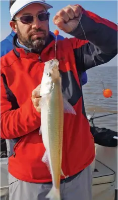  ??  ?? Arriba: Gastón con otro de los buenos pejerreyes. Derecha: boyas claras, boyas oscuras; todas sirven en un buen día de pesca.