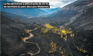  ??  ?? Le feu de Kenow a détruit près de 40 % du territoire du parc des Lacs-waterton.