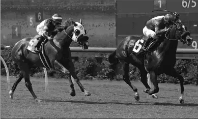  ?? EMILY SHIELDS ?? Kentan Road, trained by John Sadler, wins an optional-claiming sprint last summer at Del Mar.