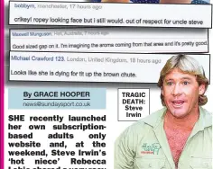  ??  ?? TRAGIC DEATH: Steve Irwin