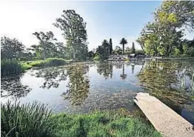  ?? (P. CASTILLO) ?? Parque Sarmiento. El municipio prometió revitaliza­r el lago.