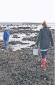  ??  ?? Die Nordsee hat einige Köstlichke­iten zu bieten, zum Beispiel Austern.