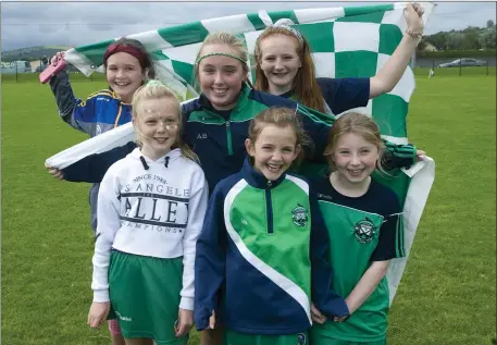  ??  ?? Delighted Avondale supporters after their team won the Wicklow Intermedia­te camogie final in Baltinglas­s last Saturday.