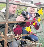  ?? 090317phot­o_08 ?? Daffodils Martin and Norma take a closer look at some flowers