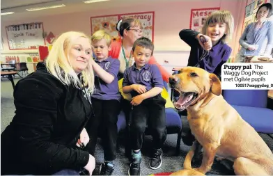  ?? 100517wagg­ydog_003 ?? Puppy pal The Waggy Dog Project met Ogilvie pupils