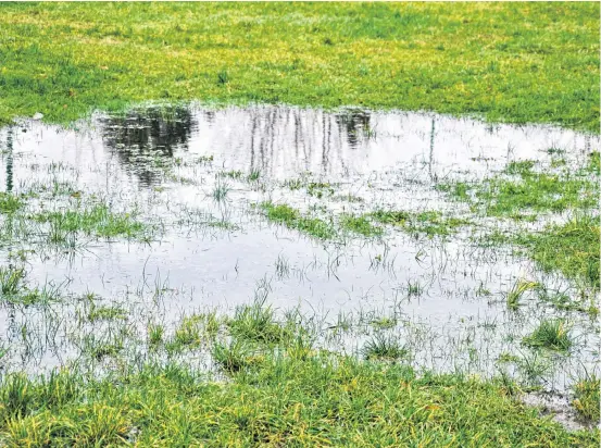  ?? 123RF ?? When the snow melted, or you had a heavy rainstorm, did you notice any big puddles gathering on your lawn? If you see this, typically it means you have a grading problem.