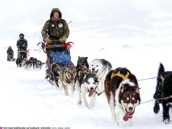  ?? FOTO: JUNGE, HEIKO ?? Färd med slädhundar på Svalbard. Arkivbild.