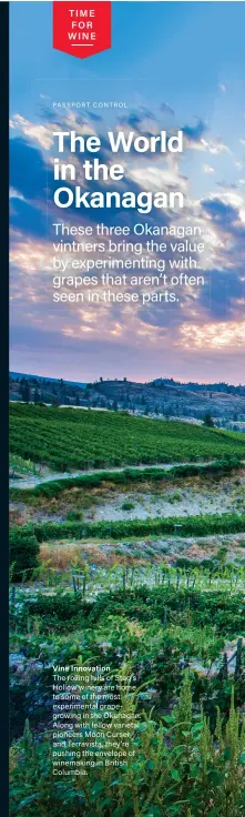  ??  ?? Vine Innovation The rolling hills of Stag’s Hollow winery are home to some of the most experiment­al grapegrowi­ng in the Okanagan. Along with fellow varietal pioneers Moon Curser and Terravista, they’re pushing the envelope of winemaking in British...