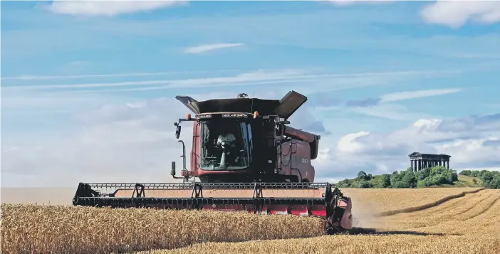  ??  ?? Autumn is harvest time and here the wheat is being brought in at Offerton.