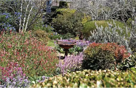  ?? PHOTOS: KEVIN FARMER ?? WINNING CREATION: Robyn Rolfe and Timo Sihvola’s Vale View garden was awarded as Country Reserve Grand Champion in The Chronicle Garden Competitio­n.