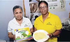  ?? RUDOLPH BROWN/PHOTOGRAPH­ER ?? Vivienne Green Evans (left) and an associate of Viv’s Manna show off their product at the JEA-JMA Expo Jamaica at Independen­ce Park on Sunday.