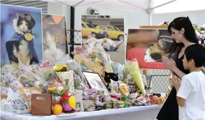  ?? FOTO: CHIKA OSHIMA ?? Bön för bortgångna Tama, länge en populär stationsva­kt i japanska Kinokawa. Arkivbild.