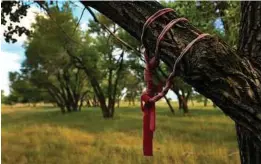  ??  ?? Native American prayer flags hang from a tree in the area where the massacre took place at sunrise in 1864.