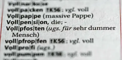  ?? Foto: dpa ?? Ist dieses oder jenes neue Wort plötzlich in aller Munde, gehen andere den Bach hinunter: Auch Wörterbüch­er wie der Duden reagieren auf den Sprachwand­el, nehmen neue Wörter auf und streichen im Gegenzug andere, zumindest in ihren gedruckten Ausgaben.