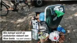  ?? Foto BART DEWAELE ?? Wie betrapt wordt op sluikstort­en riskeert een fikse boete.