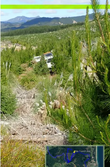  ??  ?? Course on first day included this tight run through bristly young pine trees.