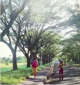  ?? Photo from The University of the Philippine­s: A University for Filipinos courtesy of JANINA CASUCOG ?? The acacia tree-shaded oval at the UP Diliman campus in the ‘80s.