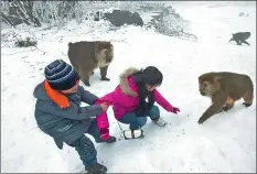  ?? PROVIDED TO CHINA DAILY ?? Visitors play with monkeys on Mount Emei.