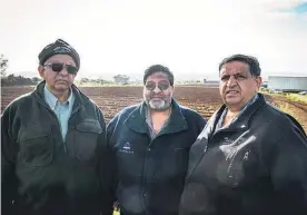  ?? Picture / Michael Craig ?? The Bhana brothers (from left) Dinesh, Bharat and Amrut retire soon and fear for Pukekohe’s future as Auckland’s vegetable garden.
