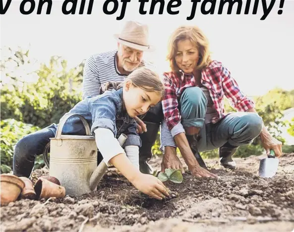  ??  ?? Gardening is something the family can enjoy together during lockdown