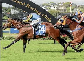  ?? TRISH DUNELL ?? Longshot Santa Monica responds to the urgings of jockey Trudy Thornton to win yesterday’s feature Railway Handicap at Ellerslie.