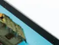  ??  ??