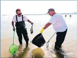  ?? MARCIAL GUILLÉN / EFE ?? Sin vida. Trabajador­es de medio ambiente de Murcia recogen peces muertos en el mar Menor, en la localidad de San Pedro del Pinatar