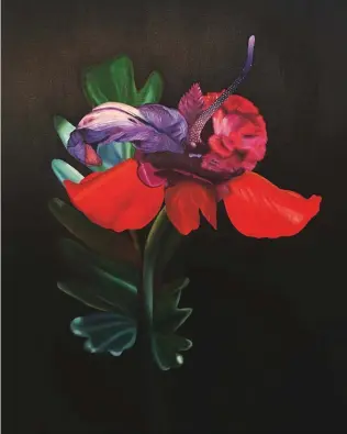  ??  ?? Anthurium Amaranthac­eae, Hybrid No. 16, oil on canvas, 122 x 91 cm (48 x 36")